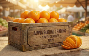 Navel Oranges
