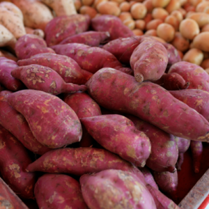 Sweet Potato