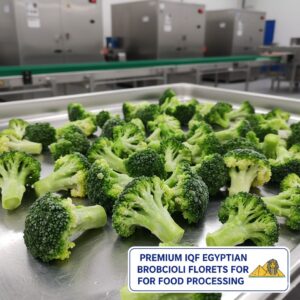 IQF Broccoli Premium IQF Egyptian broccoli florets for food processing.