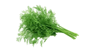 Dill