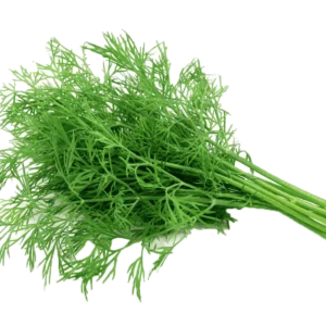 Dill